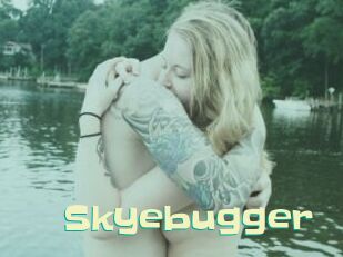 Skyebugger