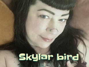 Skylar_bird