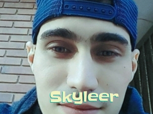 skyleer Wanna Meet