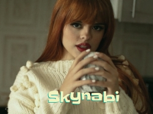 Skynabi