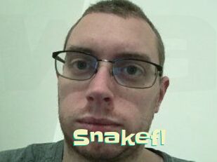 Snakefl