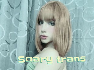 Soary_trans