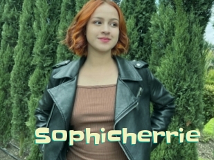 Sophicherrie