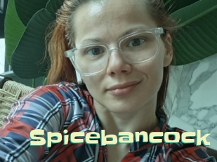 Spicebancock