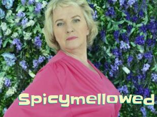 spicymellowed Wanna Meet