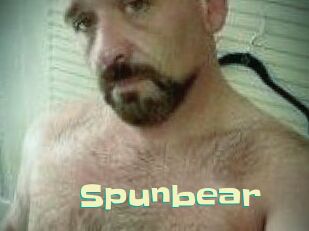 spunbear Wanna Meet