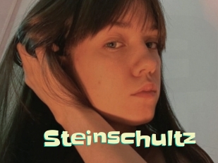 Steinschultz