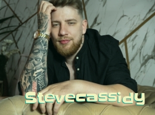 stevecassidy Wanna Meet