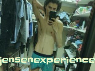 Stevejensenexperience