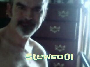 Stewco01