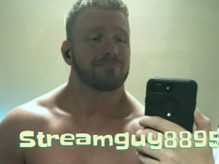Streamguy8895