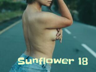 Sunflower_18