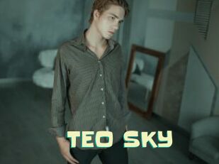 TEO_SKY