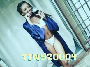 TINY20004