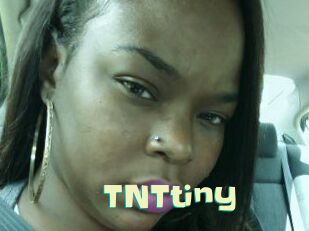 T_N_Ttiny