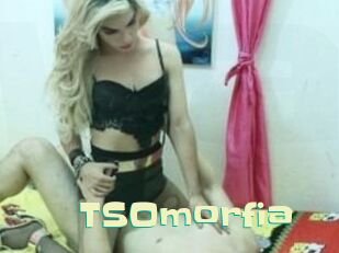 TSOmorfia Wanna Meet