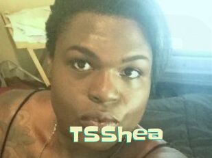 TS_Shea