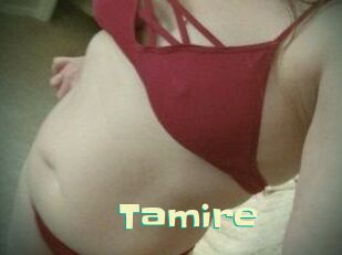 Tamire Wanna Meet