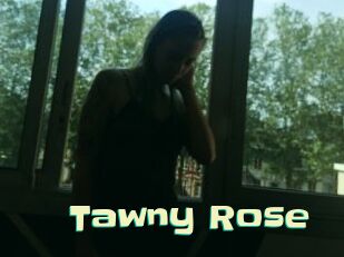 Tawny_Rose