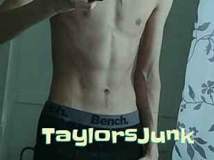 TaylorsJunk