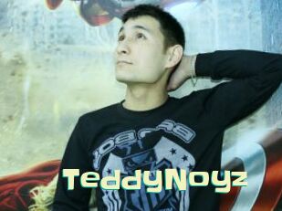 TeddyNoyz