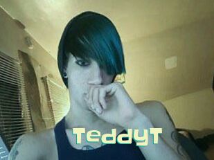 TeddyT Wanna Meet