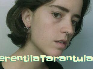 TerentilaTarantula