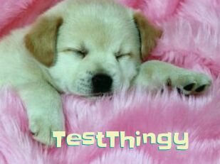 TestThingy