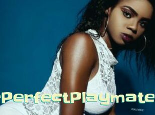 ThePerfectPlaymate