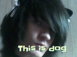 This_is_dog