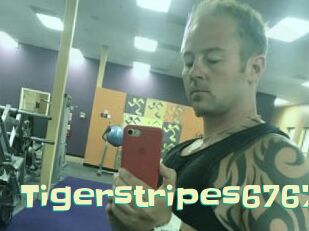 Tigerstripes6767