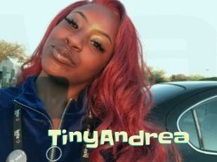 TinyAndrea