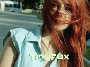 TinyFox