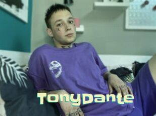 TonyDante Wanna Meet