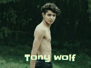 Tony_wolf