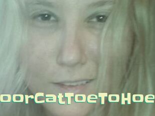 TravellingIndoorCatToeToHoe