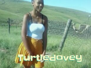 Turtledovey