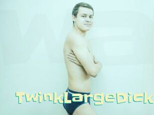 TwinkLargeDick Wanna Meet
