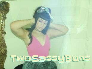 TwoSassyBuns