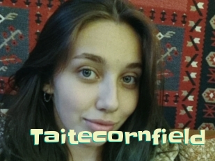 Taitecornfield