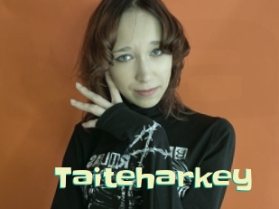 Taiteharkey