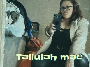 Tallulah_mae