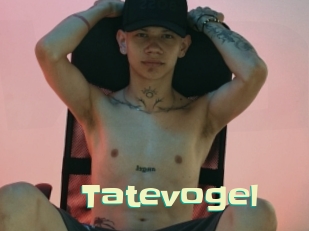 tatevogel Wanna Meet