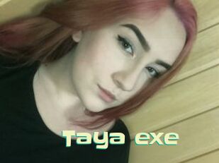 Taya_exe