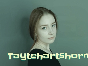 Taytehartshorn