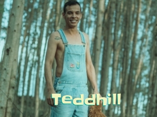 Teddhill