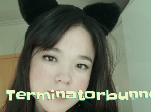 Terminatorbunny