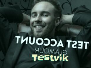 Testvik