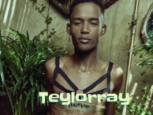 teylorray Wanna Meet