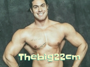 Thebig22cm